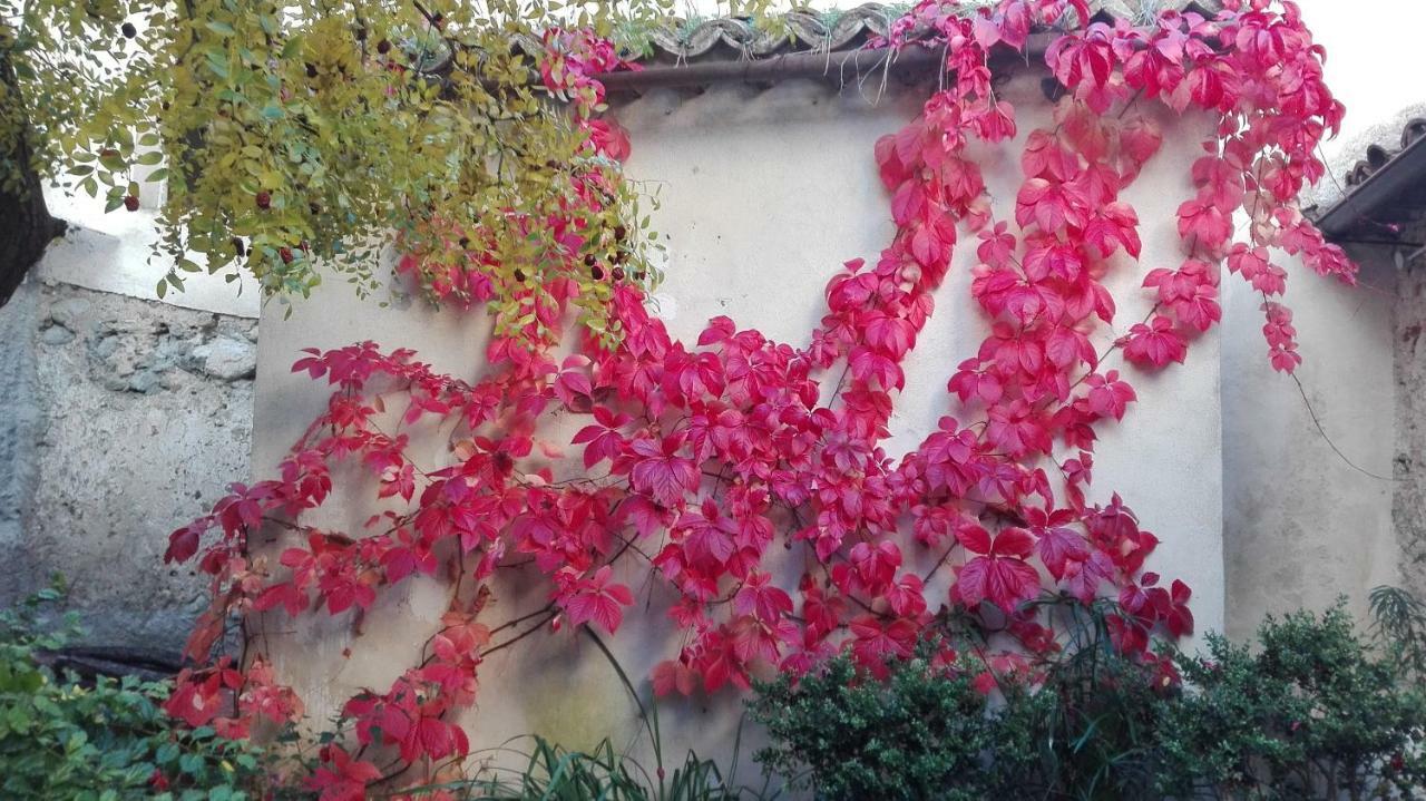 L'Albero Di Giuggiole Villa Cosenza Exterior foto